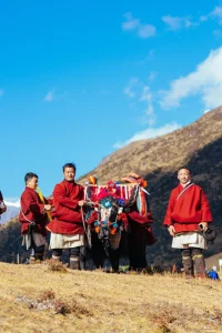 Laya Festival